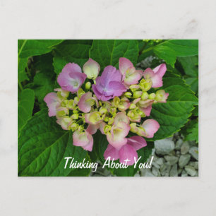 Tänk på Söt Rosa Lila blommor Vykort