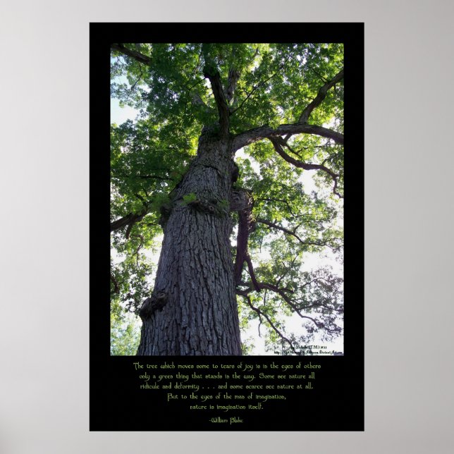 Tänk Poster (Framsidan)