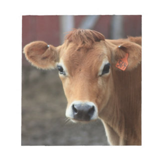 Tänka att jag är Söt Jersey Cow Anteckningsblock
