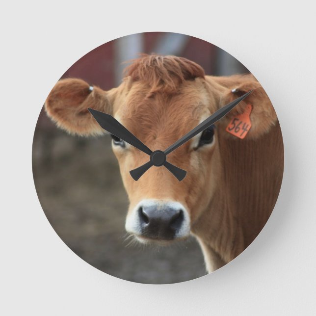 Tänka att jag är Söt Jersey Cow Rund Klocka (Framsida)
