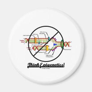 Tänka Epigenetics! (för kor DNA-Replication ut) Magnet