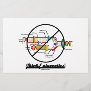 Tänka Epigenetik! (Kor ut-DNA-replikering)