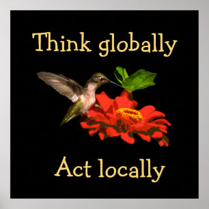 Tänka Global Act Locally Hummingbird Poster