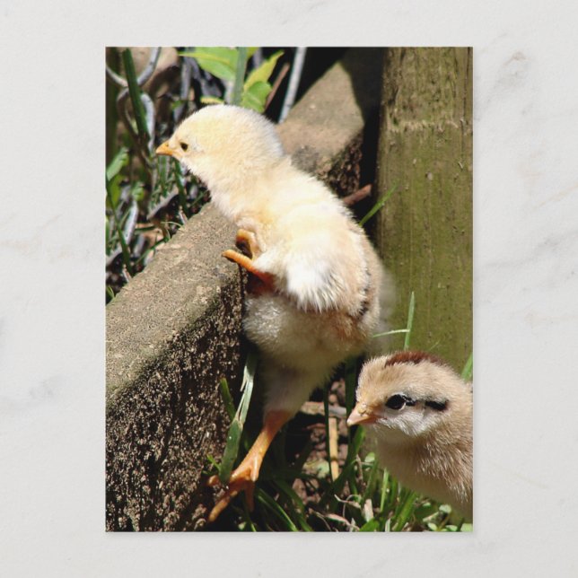 Tänka jag kan vykort (Framsida)