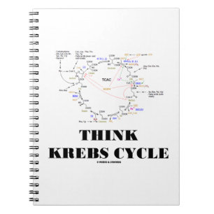 Tänka Krebs Cycle Citric Acid Cycle - TCAC Anteckningsbok