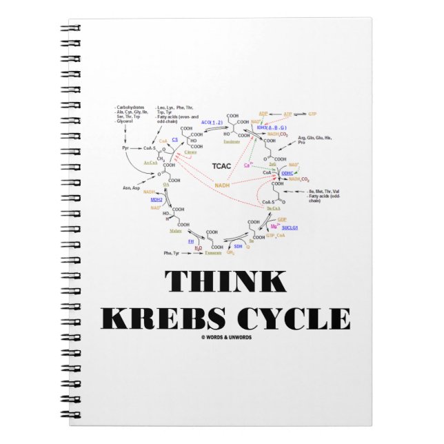 Tänka Krebs Cycle Citric Acid Cycle - TCAC Anteckningsbok (Framsidan)