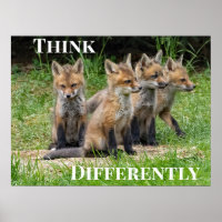 Tänka Olika Fox