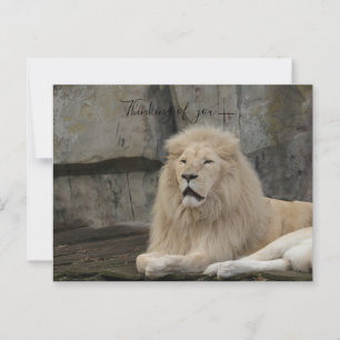tänka på dig lejona kärlek vykort