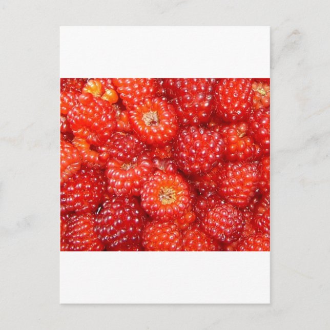TÄNKA RASPBERRY! VYKORT (Framsida)
