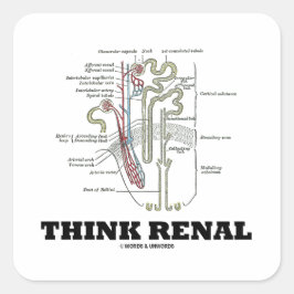 Tänka Renal (Nephron Anatomy Illustration) Fyrkantigt Klistermärke
