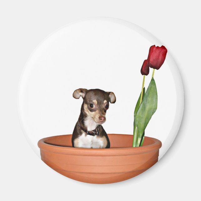 tänka vår! magnet (Framsidan)