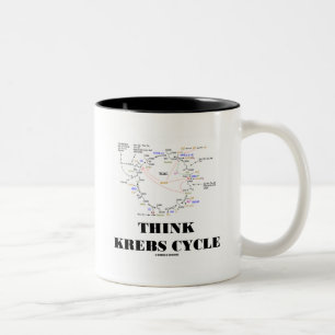 Tänkan Krebs cyklar (citronsyra cyklar - TCAC), Två-Tonad Mugg