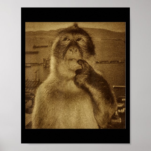 Tänkande apa meme vintage retro  poster (Framsidan)