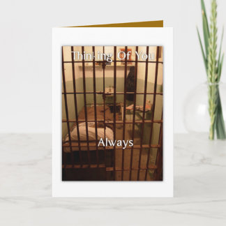 Tänkande av dig alltid kort