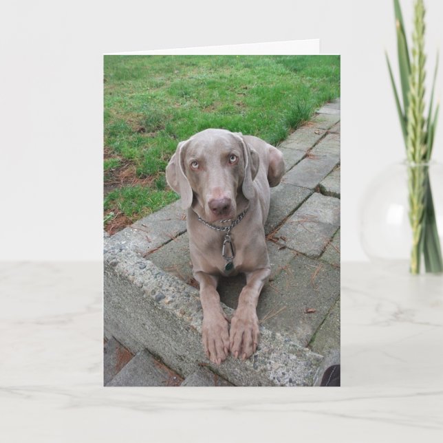 Tänkande av dig card kort (Framsida)