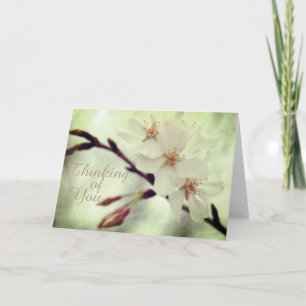 "Tänkande av dig" delikat körsbärblommar Kort