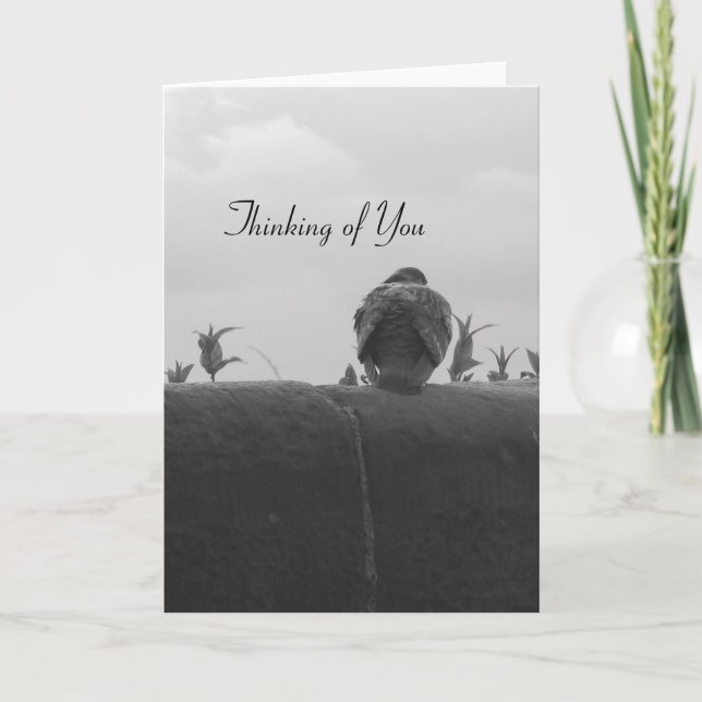 Tänkande av dig duva kort (Framsida)