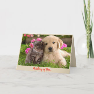 Tänkande av dig få väl kort