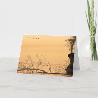 Tänkande av dig fotograferar kortsepiavatten kort