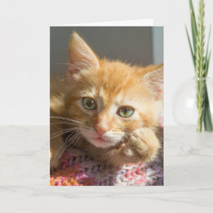 TÄNKANDE AV DIG GINGER KITTEN CAT-KORT KORT