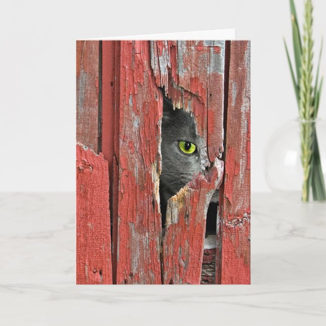 Tänkande av dig katt kort (Framsida)