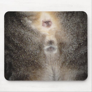 Tänkande av dig katt Mousepad Musmatta