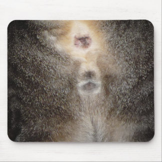 Tänkande av dig katt Mousepad Musmatta