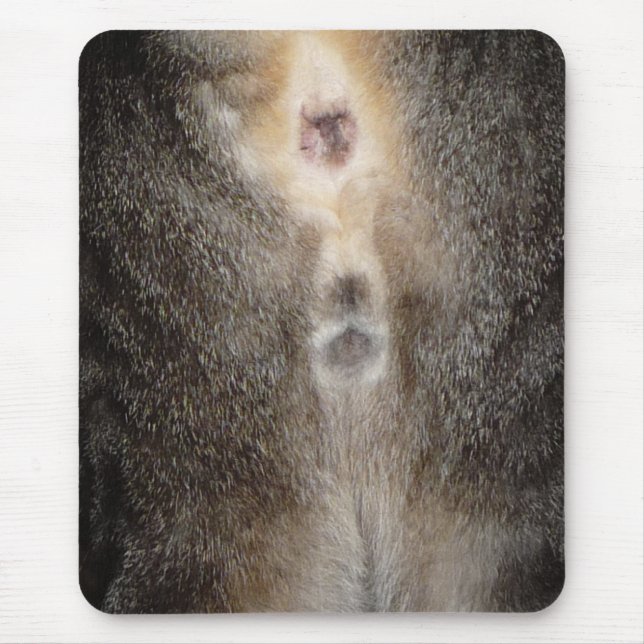 Tänkande av dig katt Mousepad Musmatta (Framsidan)