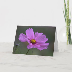 Tänkande av dig - kosmosblomma kort