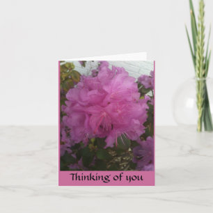 tänkande av dig med singelrosor blomstra fotoet kort