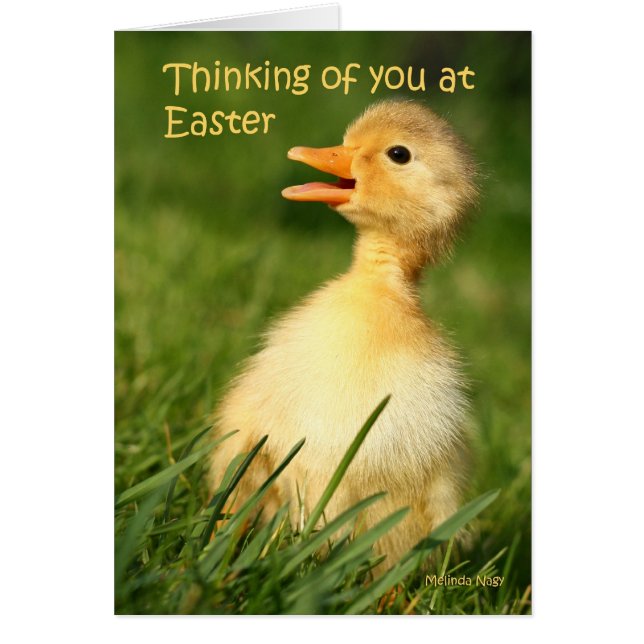 Tänkande av dig på påsken hälsningskort (Framsidan)