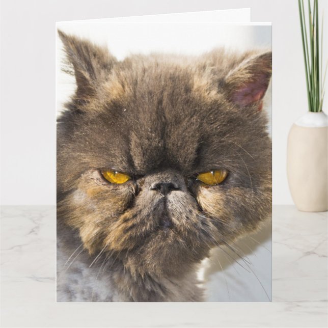 TÄNKANDE AV DIG PERSIAN CAT GREETING CARDS KORT (Framsida)