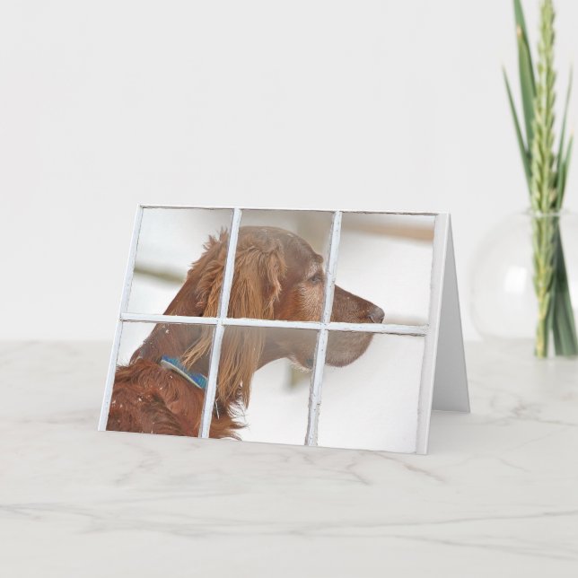 tänkande av du-Irländare Setter i snö Kort (Framsida)