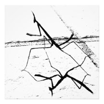 Tänkande Mantis