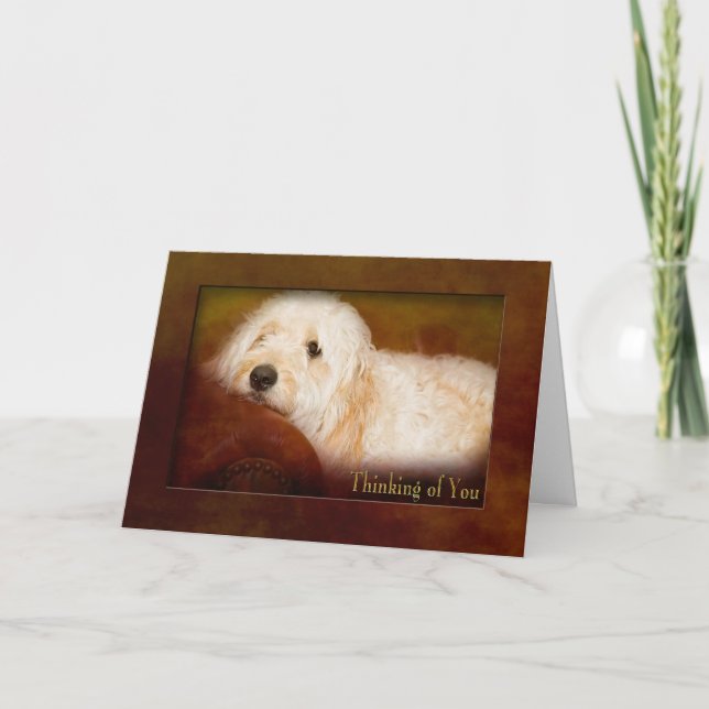 TÄNKANDE PÅ DIG - GOLDEN DOODLE (PET) PÅ SOFFA KORT (Framsida)
