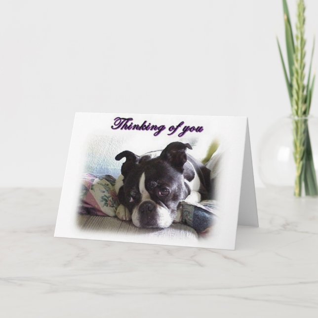 tänkaofer4 kort (Framsida)