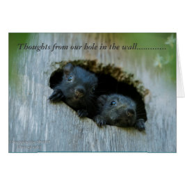 Tankar från vårt hål i väggen ...... hälsningskort