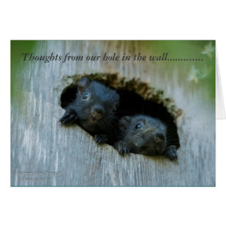 Tankar från vårt hål i väggen ...... hälsningskort