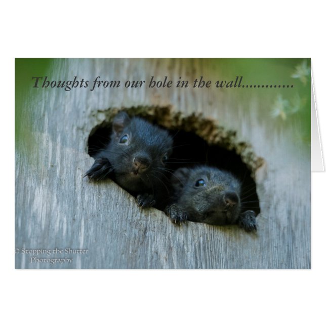 Tankar från vårt hål i väggen ...... hälsningskort (Framsidan Horizontal)
