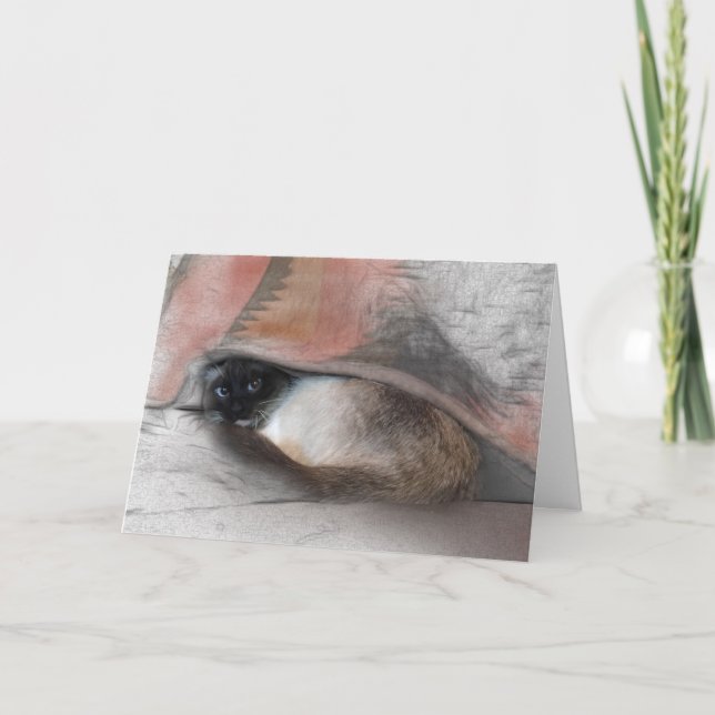 Tankar på Cute Siamese och Blanket Sketch Kort (Framsida)