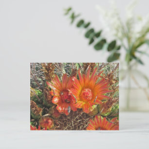 Tankar på dig Bright Orange Cactus Flower Photo Vykort