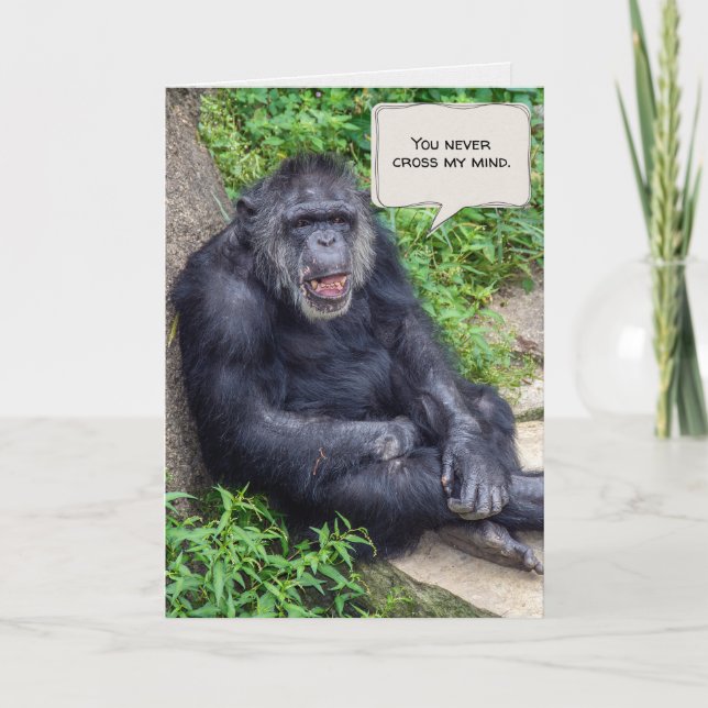 Tankar på dig Chimpanzee Kort (Framsida)