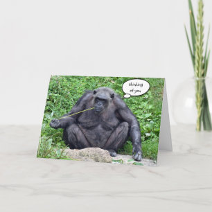 Tankar på dig Chimpanzee Kort