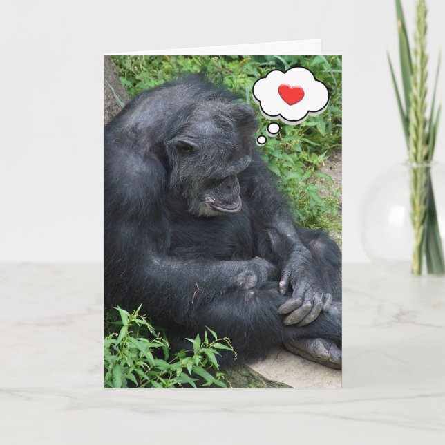 Tankar på dig Chimpanzee Kort (Framsida)