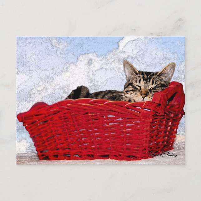 Tankar på dig Cute Sleeping Red Basket Vykort (Framsida)