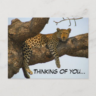 Tankar på dig (Leopard i Träd) Vykort
