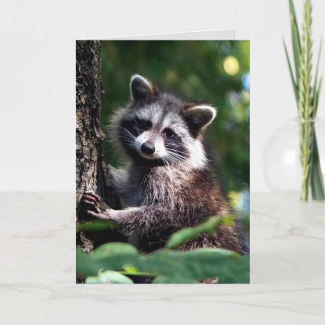 Tankar på dig Speedy Recovery Raccoon Animal Kort (Framsida)
