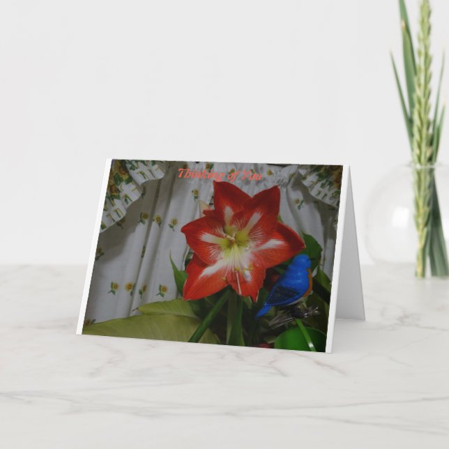 Tankar på dig, Stargazer Amaryllis Kort (Framsida)