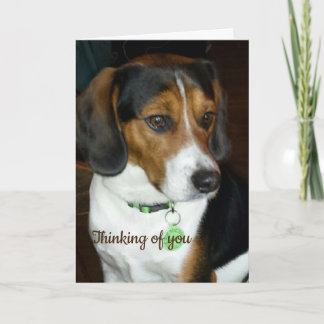 Tankar på ditt Beagle Card Kort