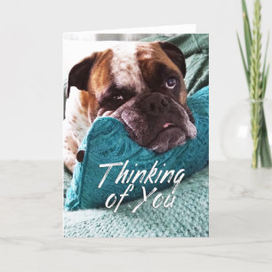 Tankar på ditt Bulldog Photo Sympathy Card Tack Kort